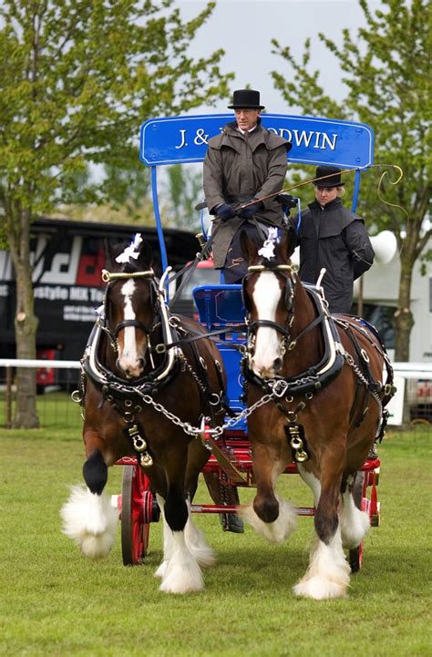 shire horse show 2023|newark showground events 2022.